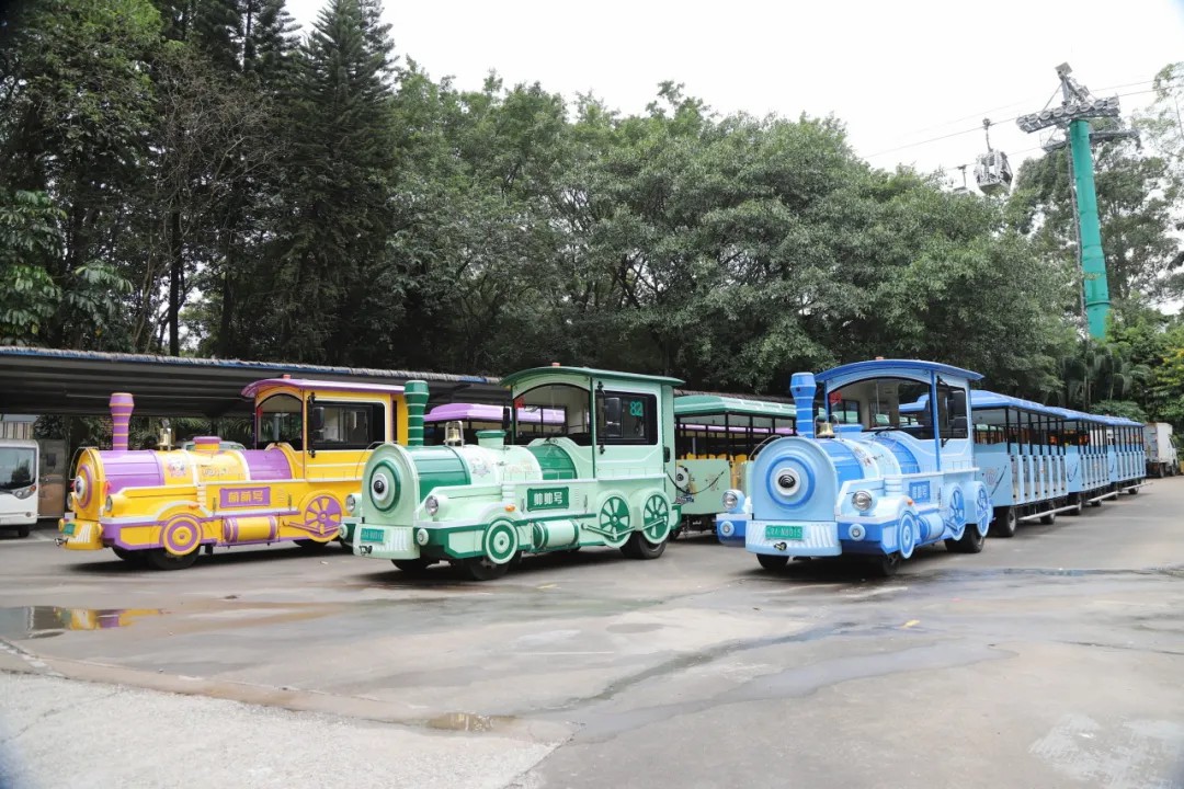 4万公里 ，100%出勤率！立博观光车助力长隆打造沉浸式生态之旅