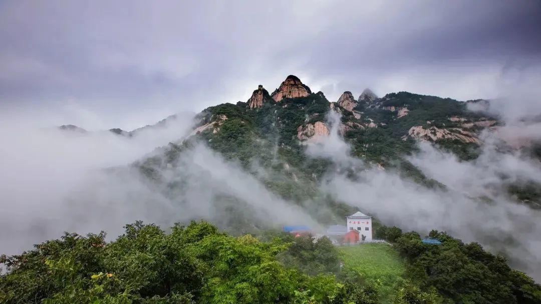 五大热门景区真实运营揭秘，看看客户为何选择立博观光车？