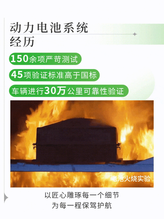 立博观光车|2024承载梦想，2025为青春加电启航新篇章