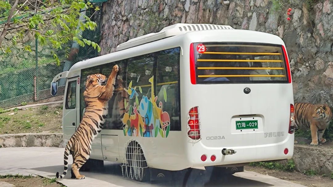 2024年“五一”假期旅游数据出炉，旅游市场呈现新趋势！