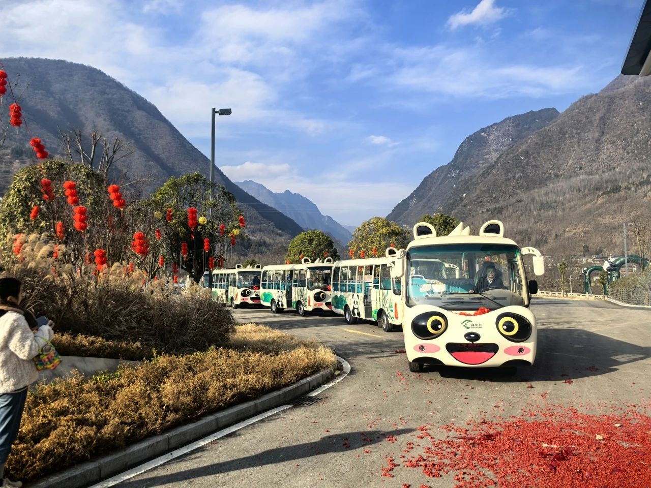 2025年景区交通该往哪儿发力？立博观光车助力打造景区交通运营新“范式”